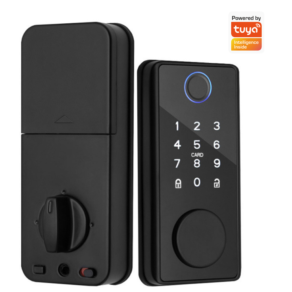 Smart Home Lock - Support Tuya App Remote Control Door
