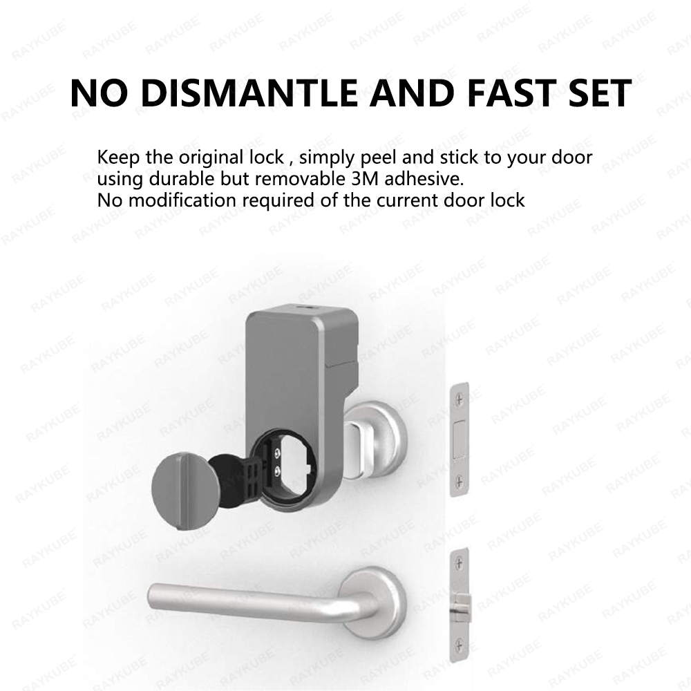 RAYKUBE A1 Pro Tuya BEL Smart  - Smart Home Lock 评论和价格
