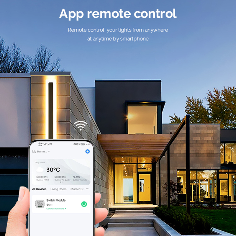 DIY  Wifi Smart Dimmer Switch  - Smart Home Google Assistant 评论和价格