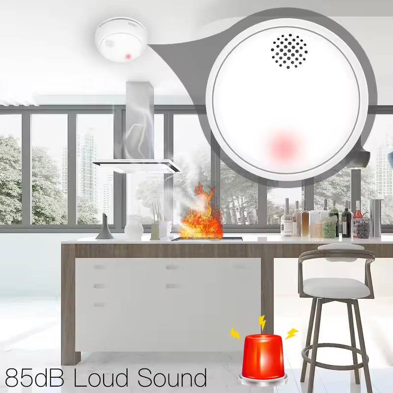 MOES ZigBee Smart Wireless Smo - Smart Home Kitchen 评论和价格