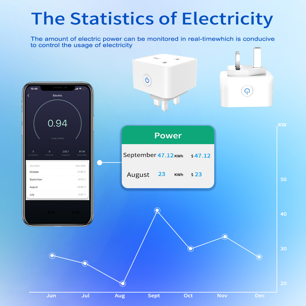 Tuya Smart Socket 16A/20A WiFi - Smart Home Network 评论和价格