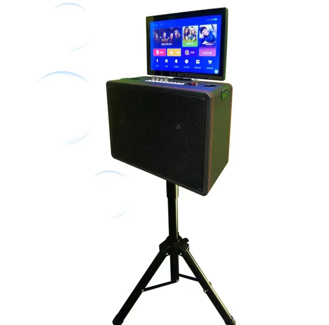 14.1 inches Flip Smart Karaoke - Homesmart Online 评论和价格