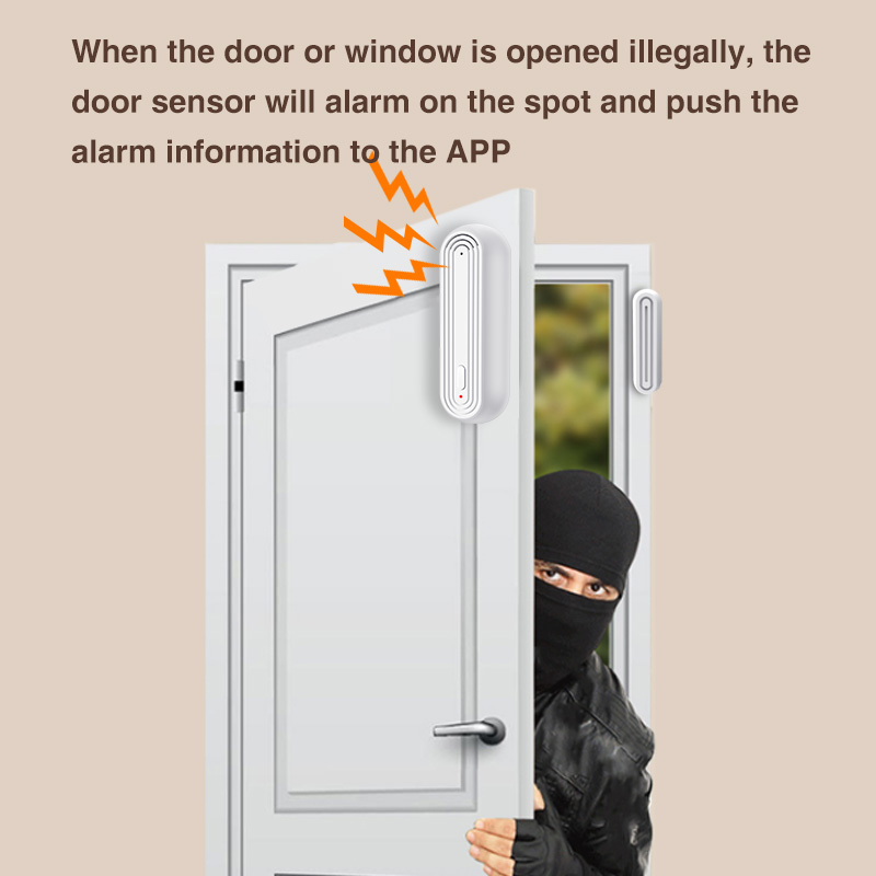 Tuya Smart WiFi Door Window Al - Smart Home Proxmox 评论和价格