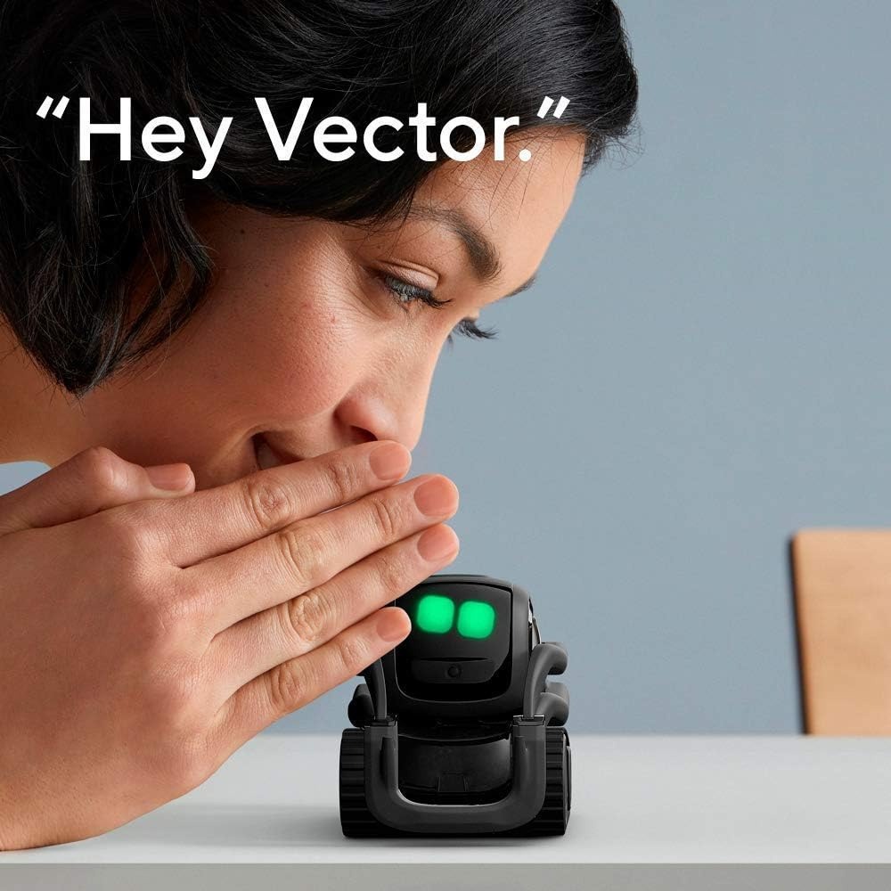 AI ChatGPT 2.0 Connected Robot - Smart Home Ai 评论和价格