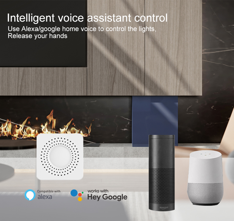 Tuya Mini Smart Switch WiFi 1- - Smart Home Google 评论和价格