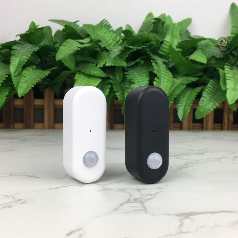 Tuya WiFi PIR Motion Sensor Hu - Smart Home Proxmox 评论和价格