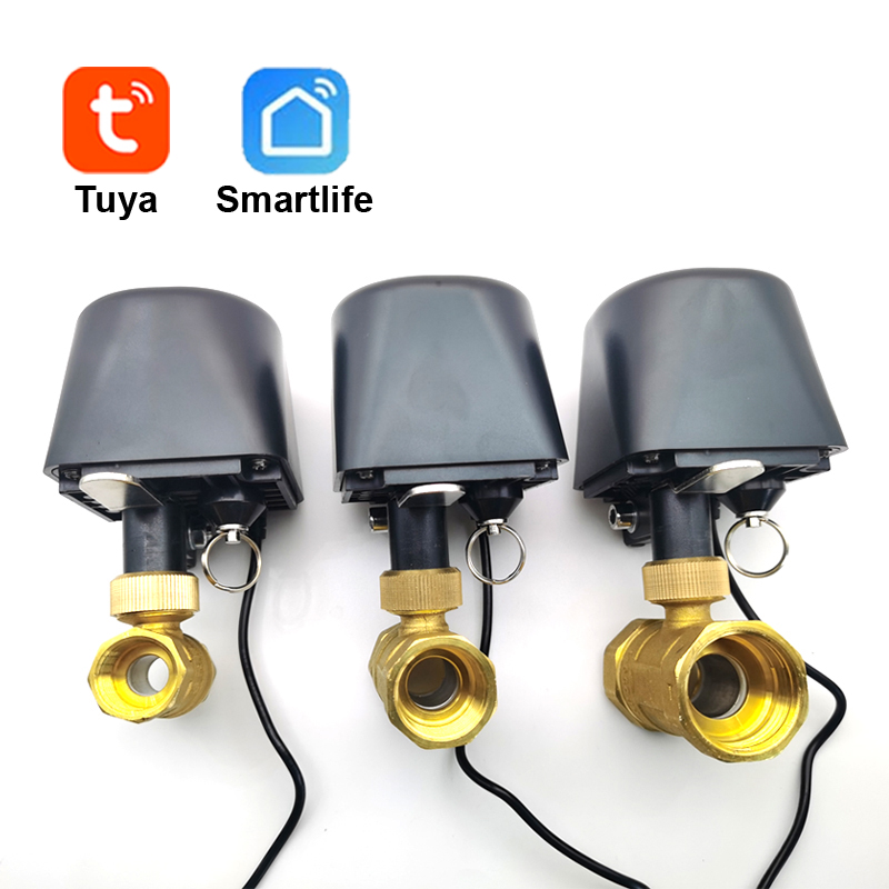Tuya WiFi or Zigbee Water Valv - Smart Home Google Assistant 评论和价格